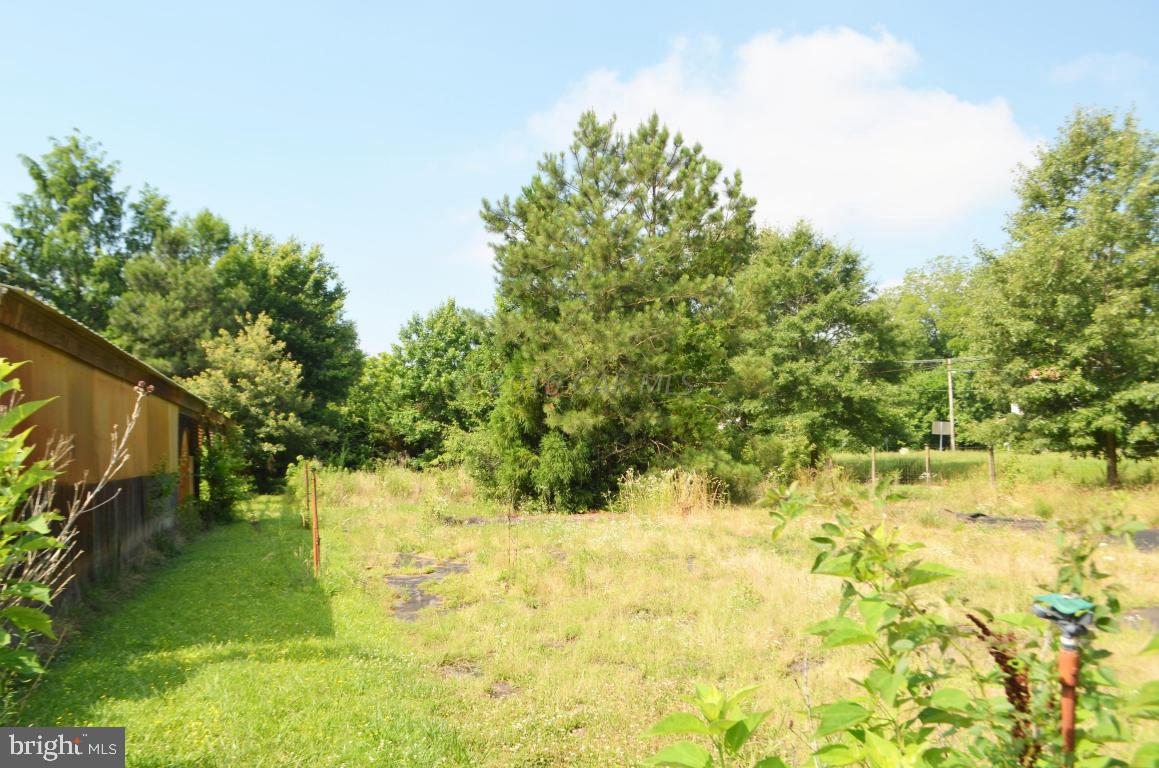 30281 Sam Barnes Road Westover, MD 21871 - Photo 20 of 26 Gallery Image 20