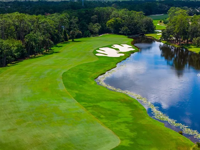 a view of a lake with a beach