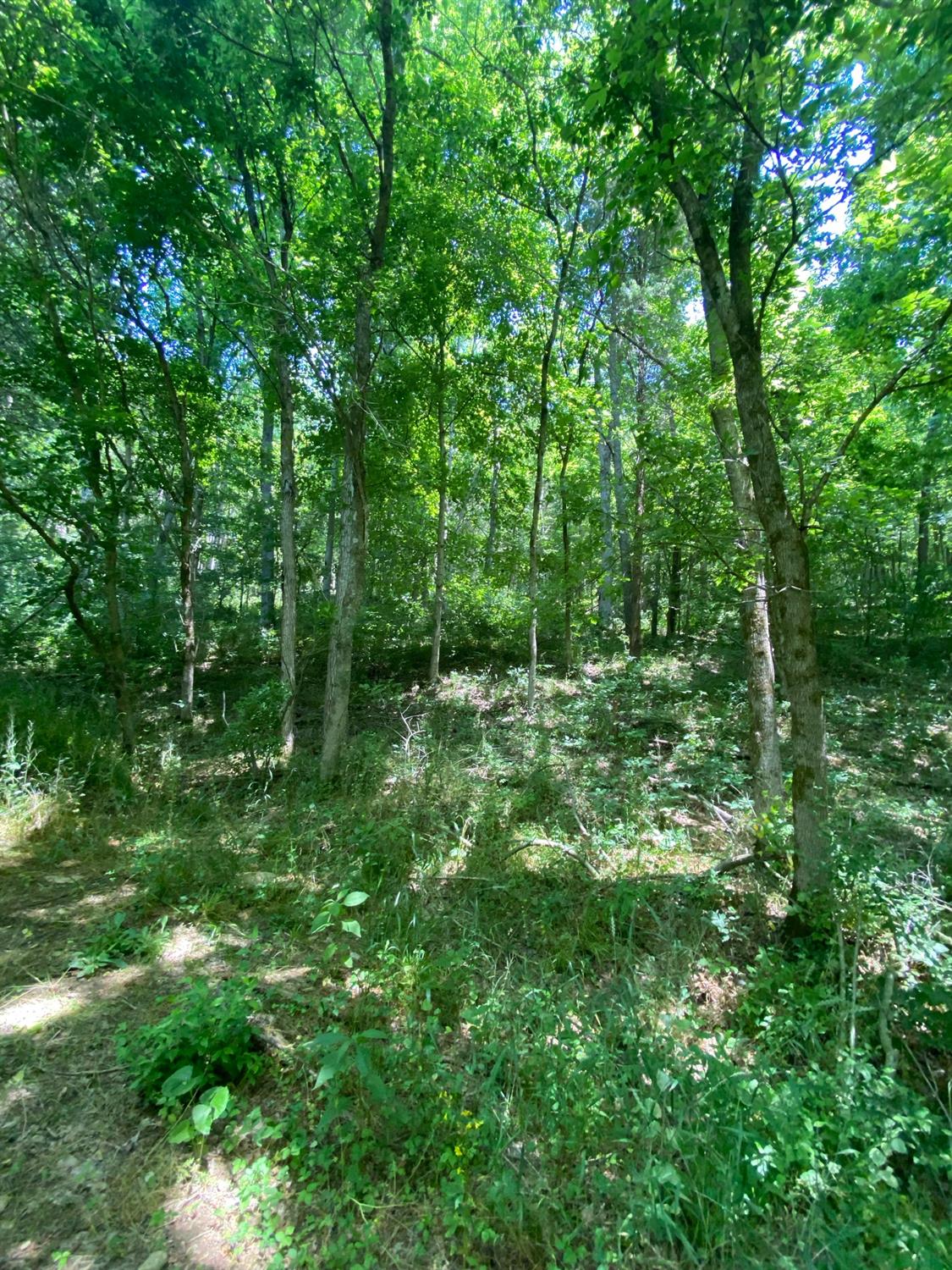4708 Long Run Road Vevay, IN 47043 - Photo 8 of 10