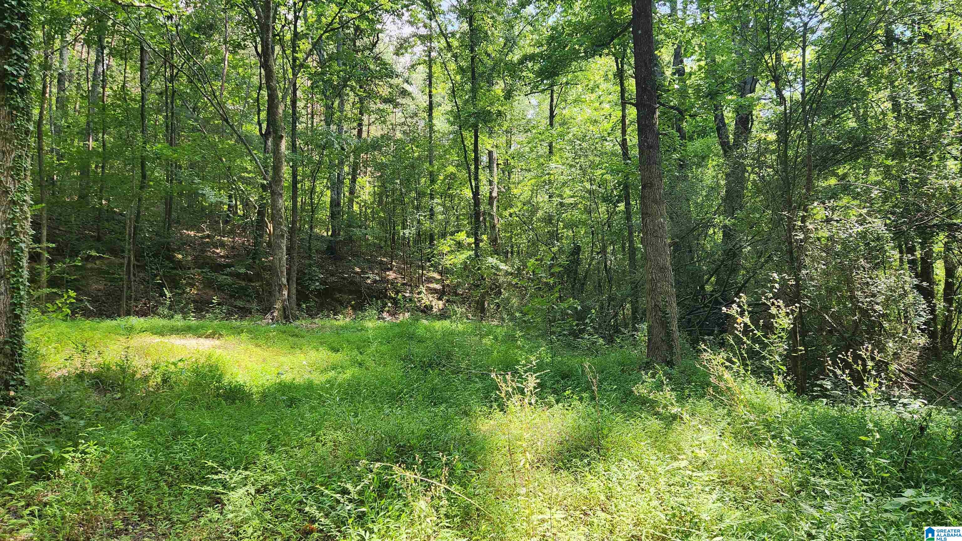 5233 Dewey Heights Road Pinson, AL 35126 - Photo 4 of 5
