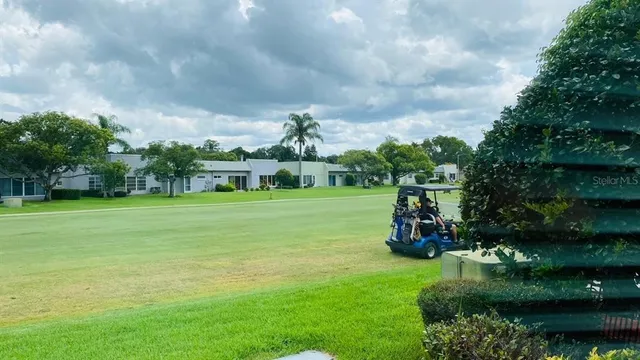 a view of a park with large trees