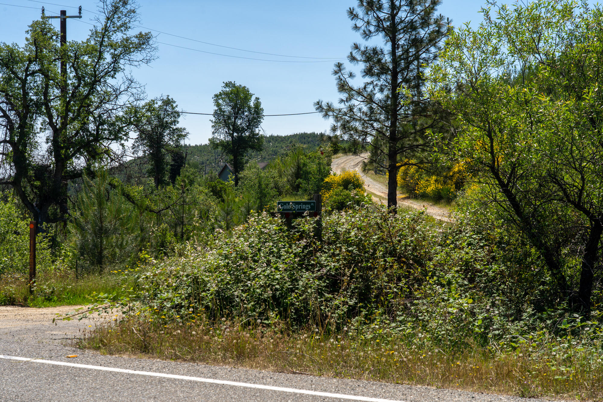 Gold Springs Pl.-01