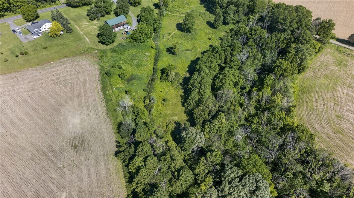 Cramer Road Canandaigua, NY 14424 - Photo 24 of 47