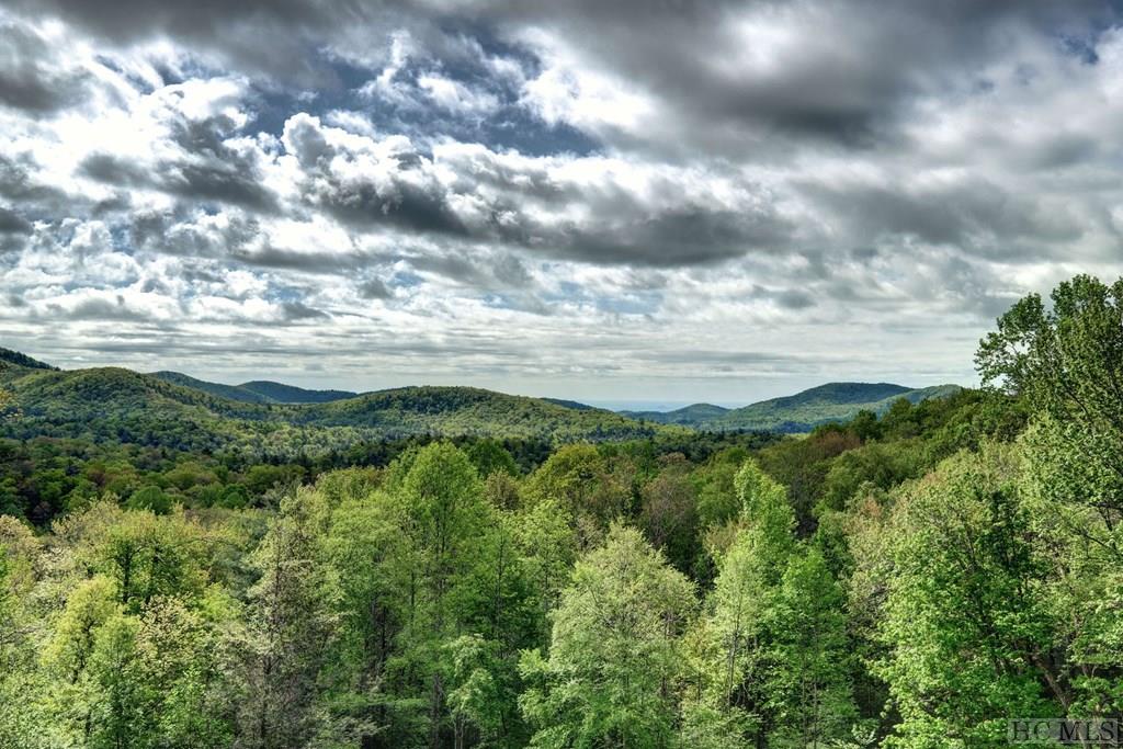 757 Little Terrapin Road Cashiers, NC 28717 - Photo 7 of 33 Gallery Image 7