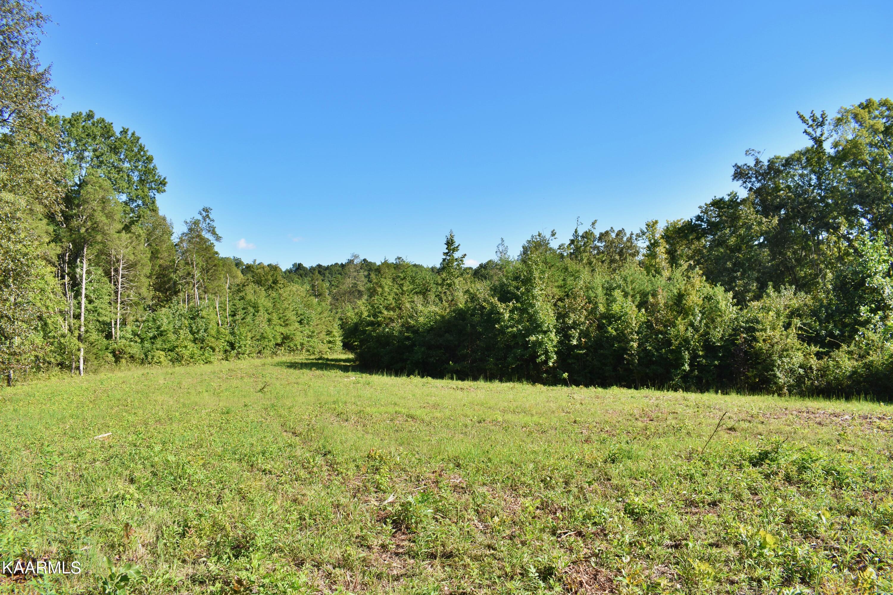 4354 Wolf Creek Road Spring City, TN 37381 - Photo 3 of 60 DSC_0504