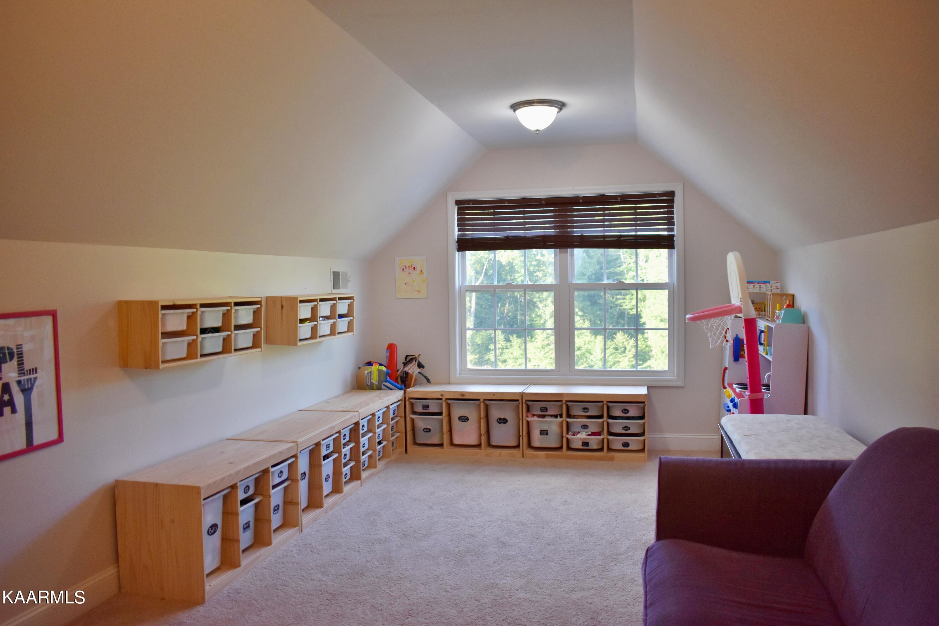 4354 Wolf Creek Road Spring City, TN 37381 - Photo 54 of 60 DSC_0713