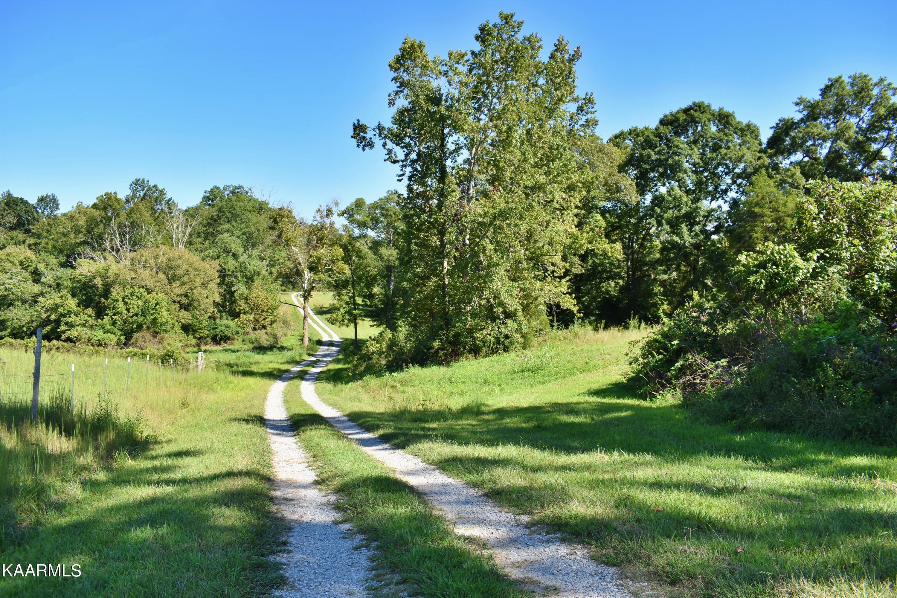 4354 Wolf Creek Road Spring City, TN 37381 - Photo 60 of 60 DSC_0396