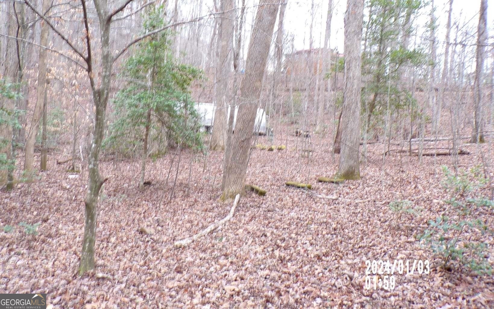34 Gander Gap Road Hiawassee, GA 30546 - Photo 1 of 1 Gallery Image 1
