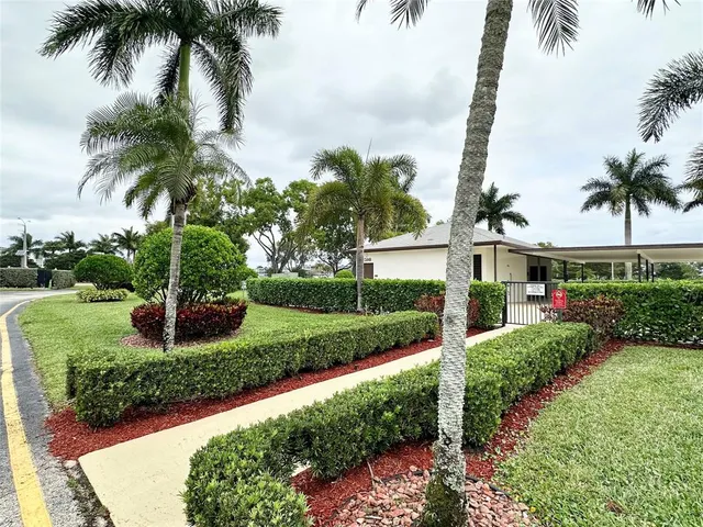 a front view of a garden with palm trees