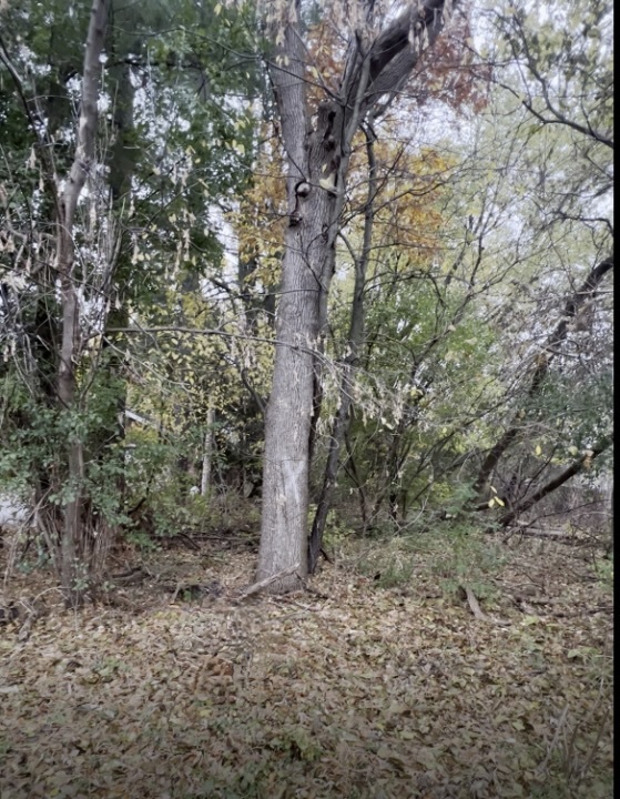 37206 North Capillo Ave  