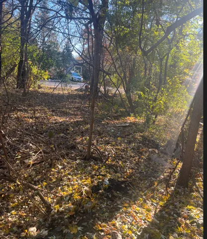 a backyard of a house with lots of green space