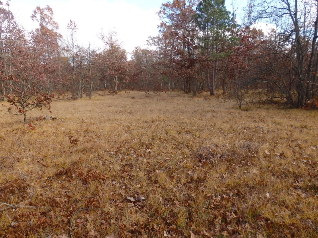 Custer Road Manistee, MI 49660 - Photo 12 of 12