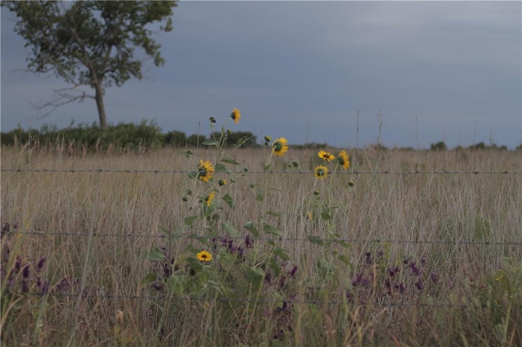 273 Ivory Road Moran, KS 66755 - Photo 26 of 38
