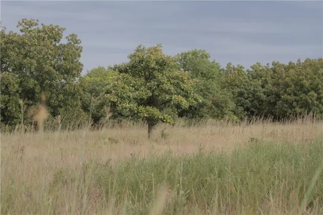 $340,000 | 273 Ivory Road, Moran, KS 66755