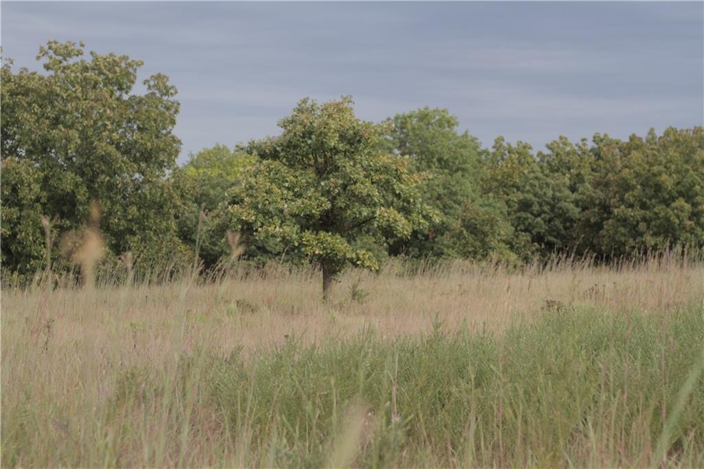 273 Ivory Road Moran, KS 66755 - Photo 31 of 38