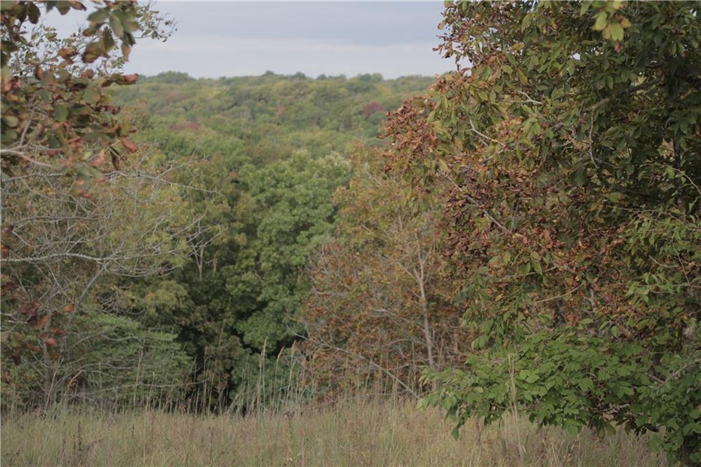 273 Ivory Road Moran, KS 66755 - Photo 35 of 38