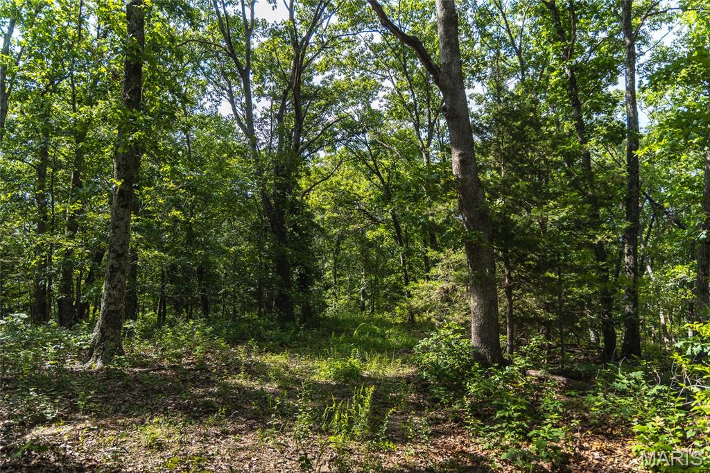 275 Oak Ridge Road Bourbon, MO 65441 - Photo 2 of 13
