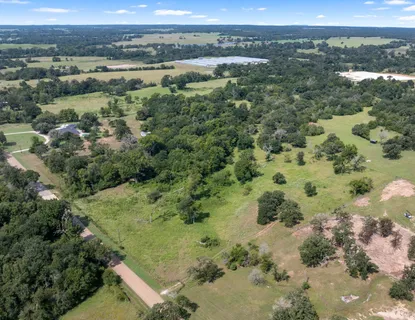 an aerial view of green landscape with trees houses and mountain view