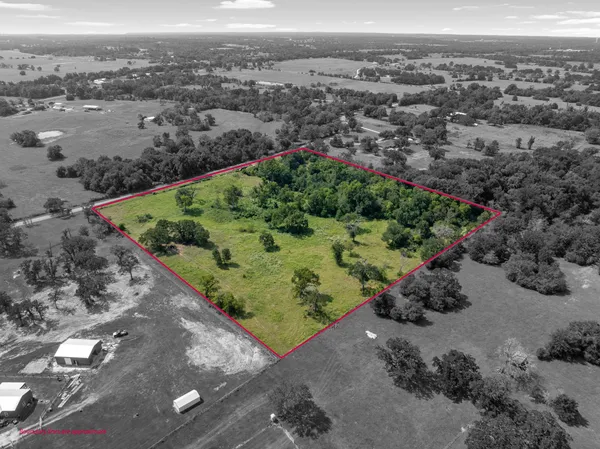 an aerial view of a forest
