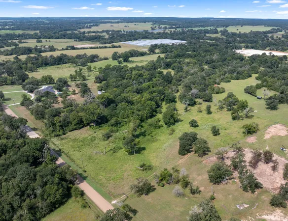 an aerial view of green landscape with trees houses and mountain view