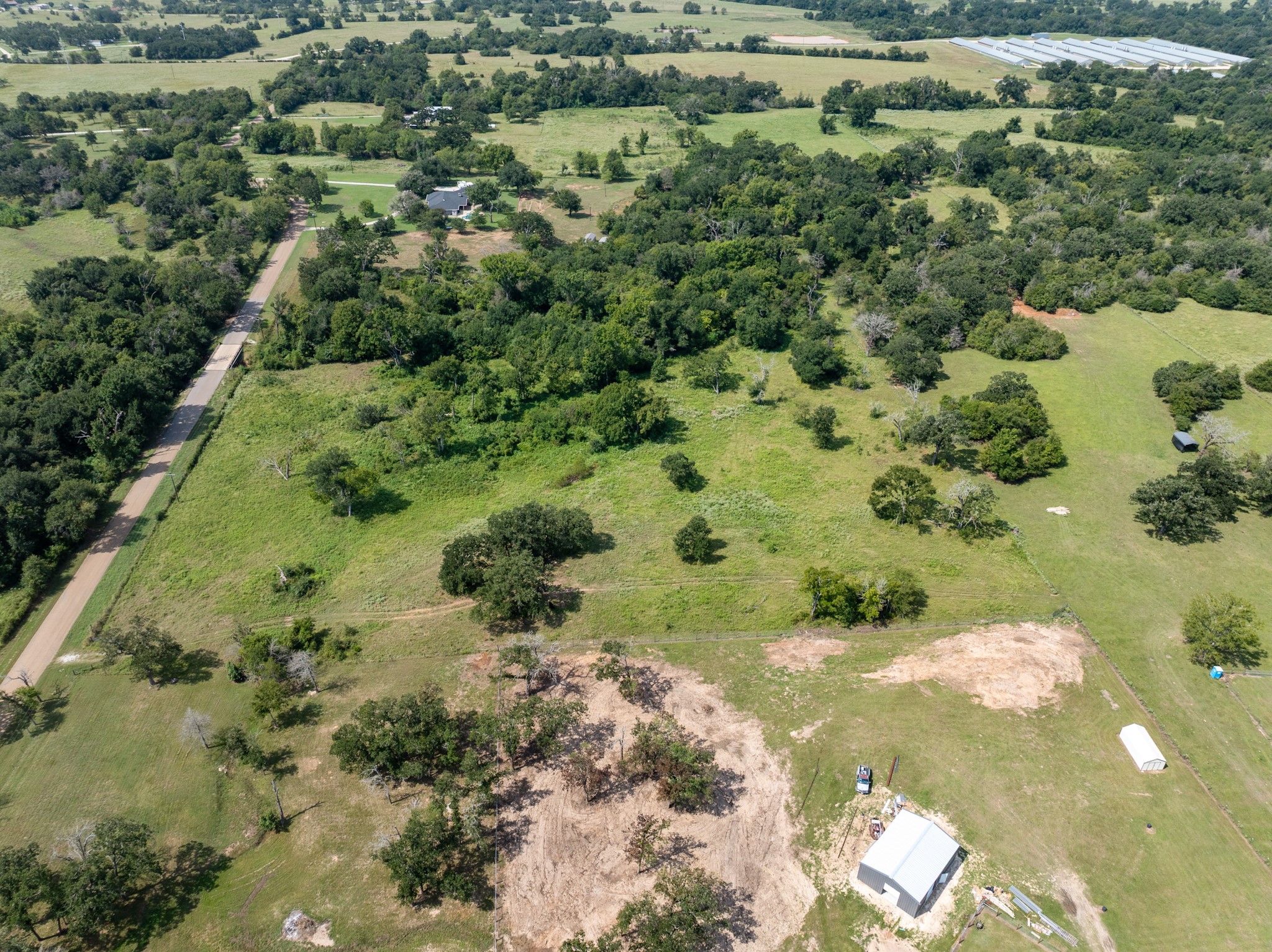 Tbd Cazey Loop Franklin, TX 77856 - Photo 19 of 20 a view of a forest with a tree