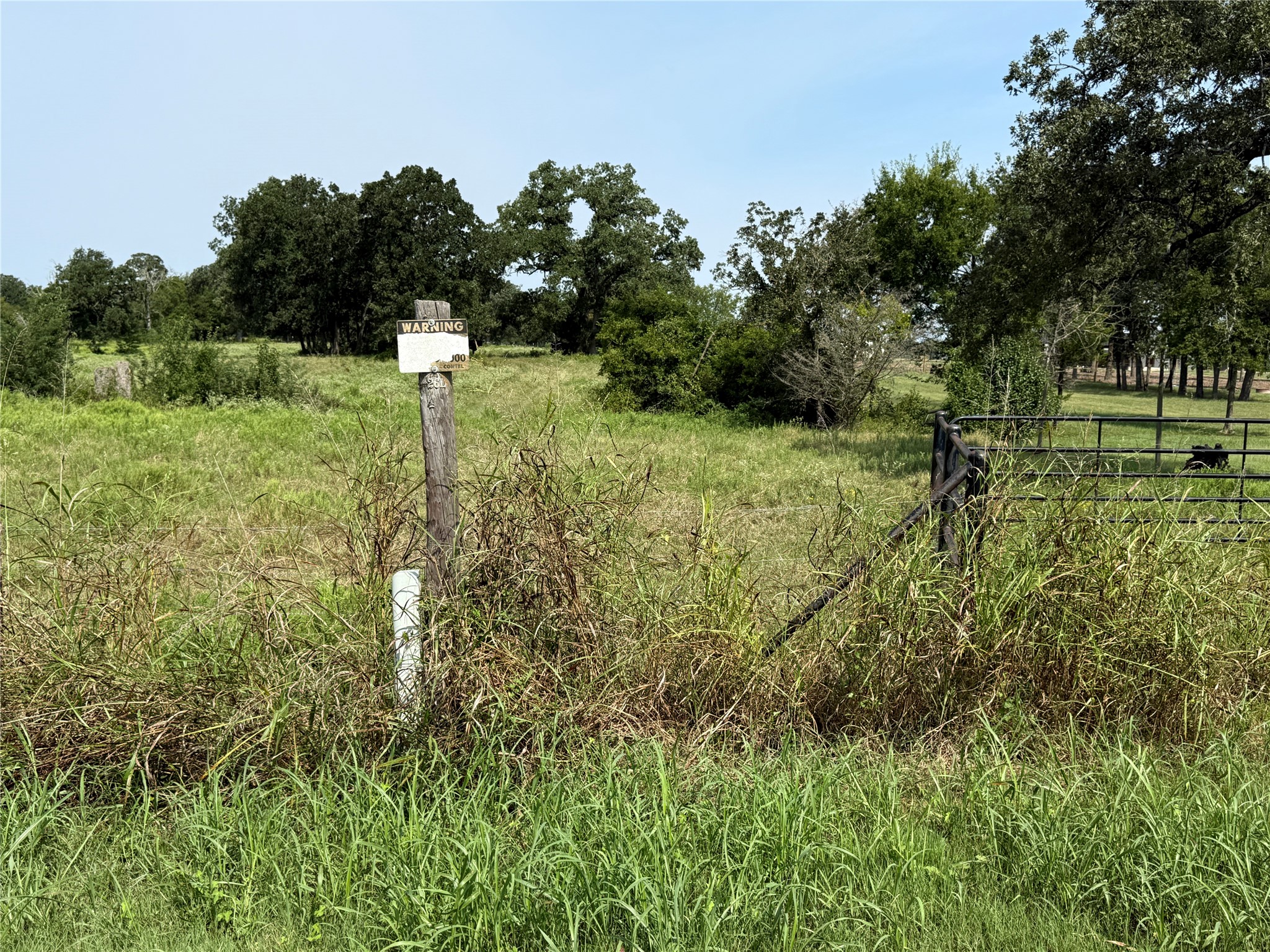 Tbd Cazey Loop Franklin, TX 77856 - Photo 20 of 20 a view of a garden