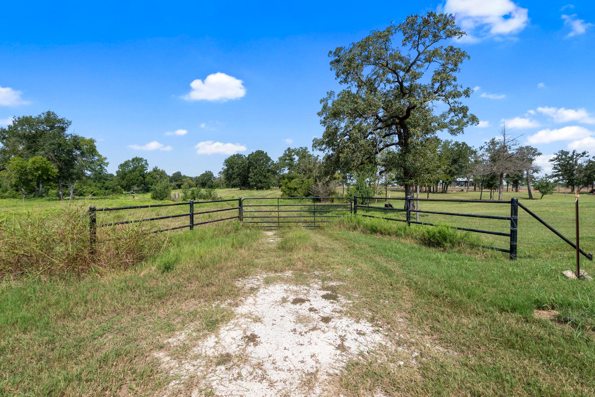 Tbd Cazey Loop Franklin, TX 77856 - Photo 2 of 20 a view of a park