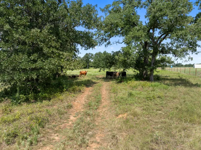 a view of a lake view with a bench