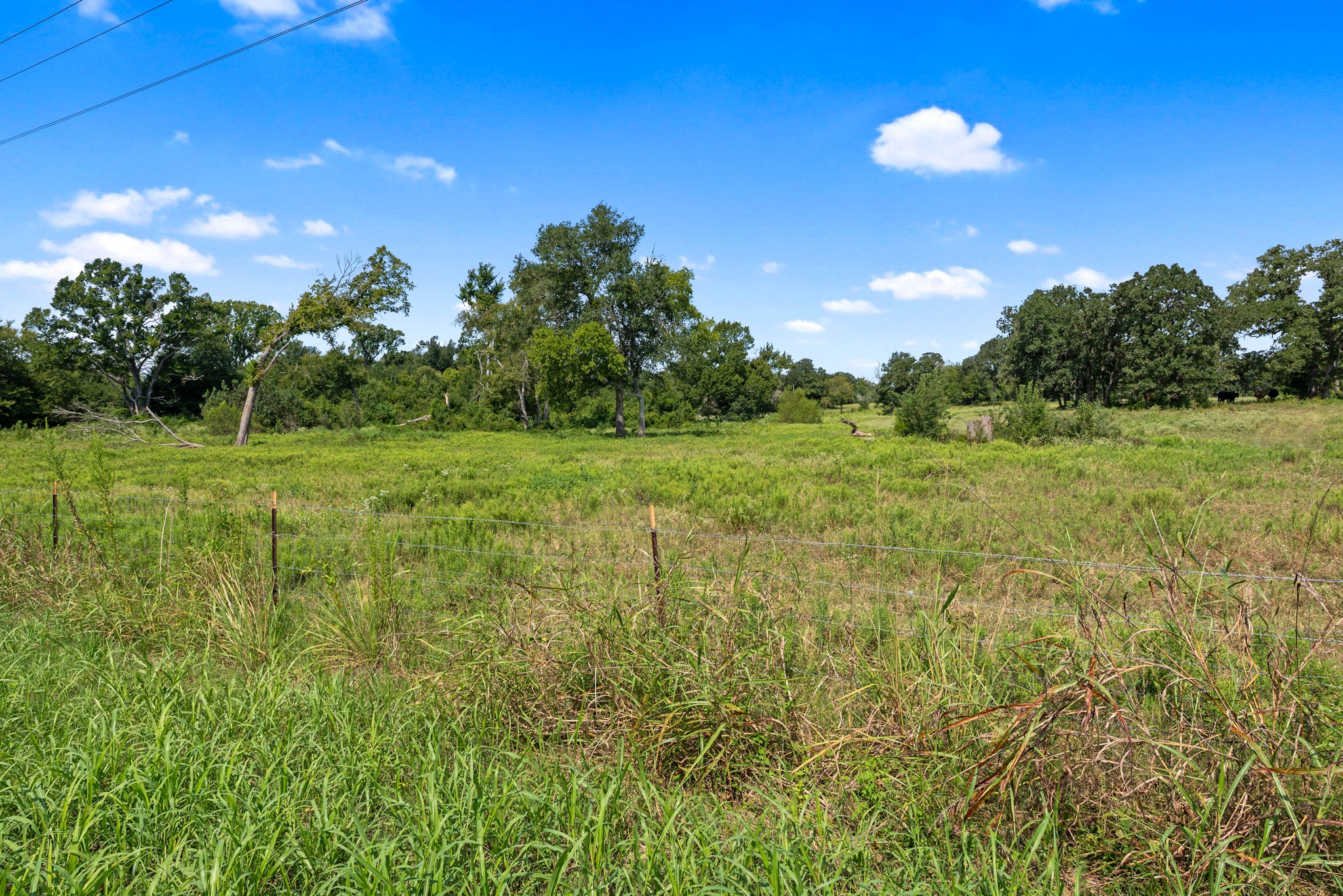 Tbd Cazey Loop Franklin, TX 77856 - Photo 4 of 20 a view of an outdoor space and yard