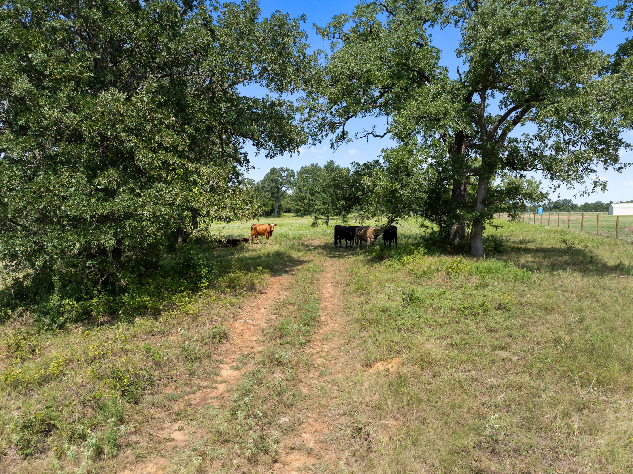 Tbd Cazey Loop Franklin, TX 77856 - Photo 5 of 20 a view of a lake view with a bench