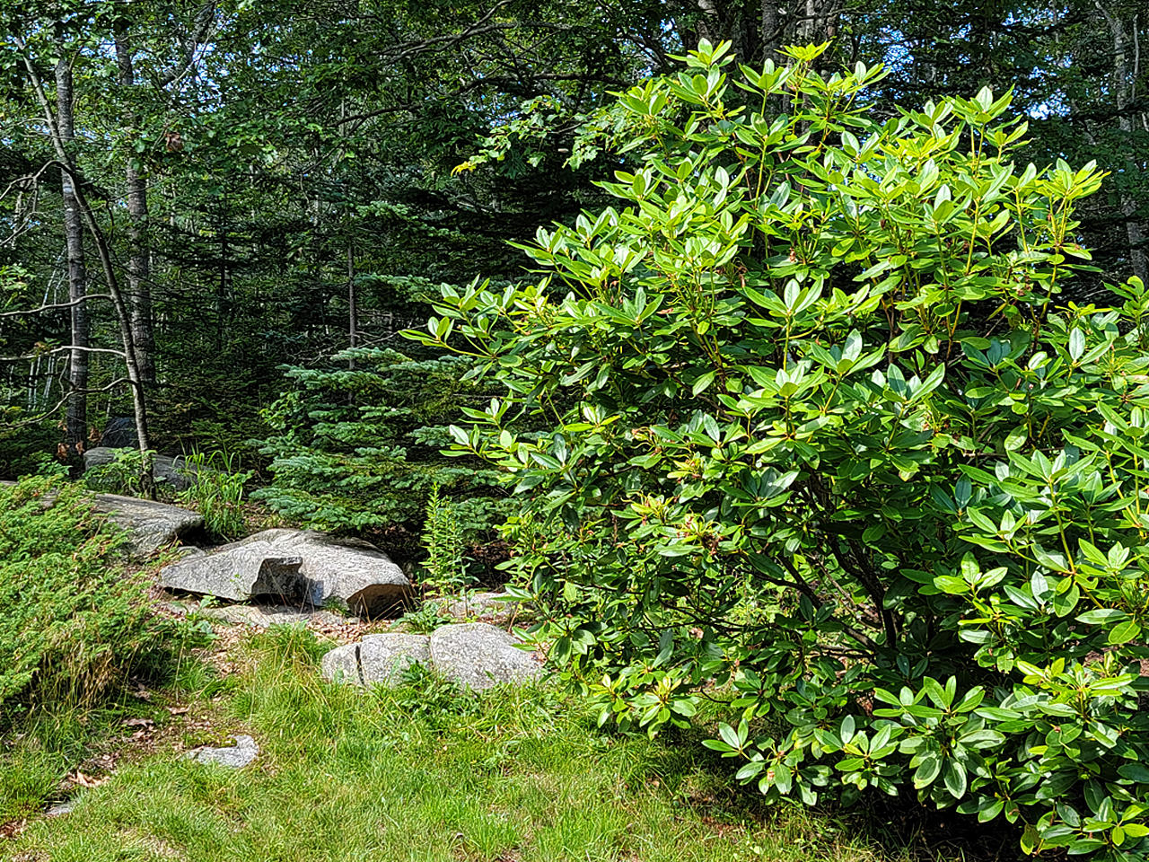8 Pounds Road Bristol, ME 04554 - Photo 18 of 46 1-Yard-5-1280