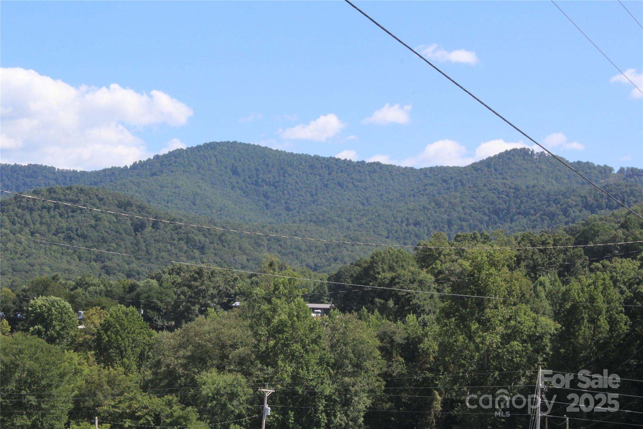 5930 Fisher Davis Road Morganton, NC 28655 - Photo 2 of 6 an aerial view of houses covered in trees