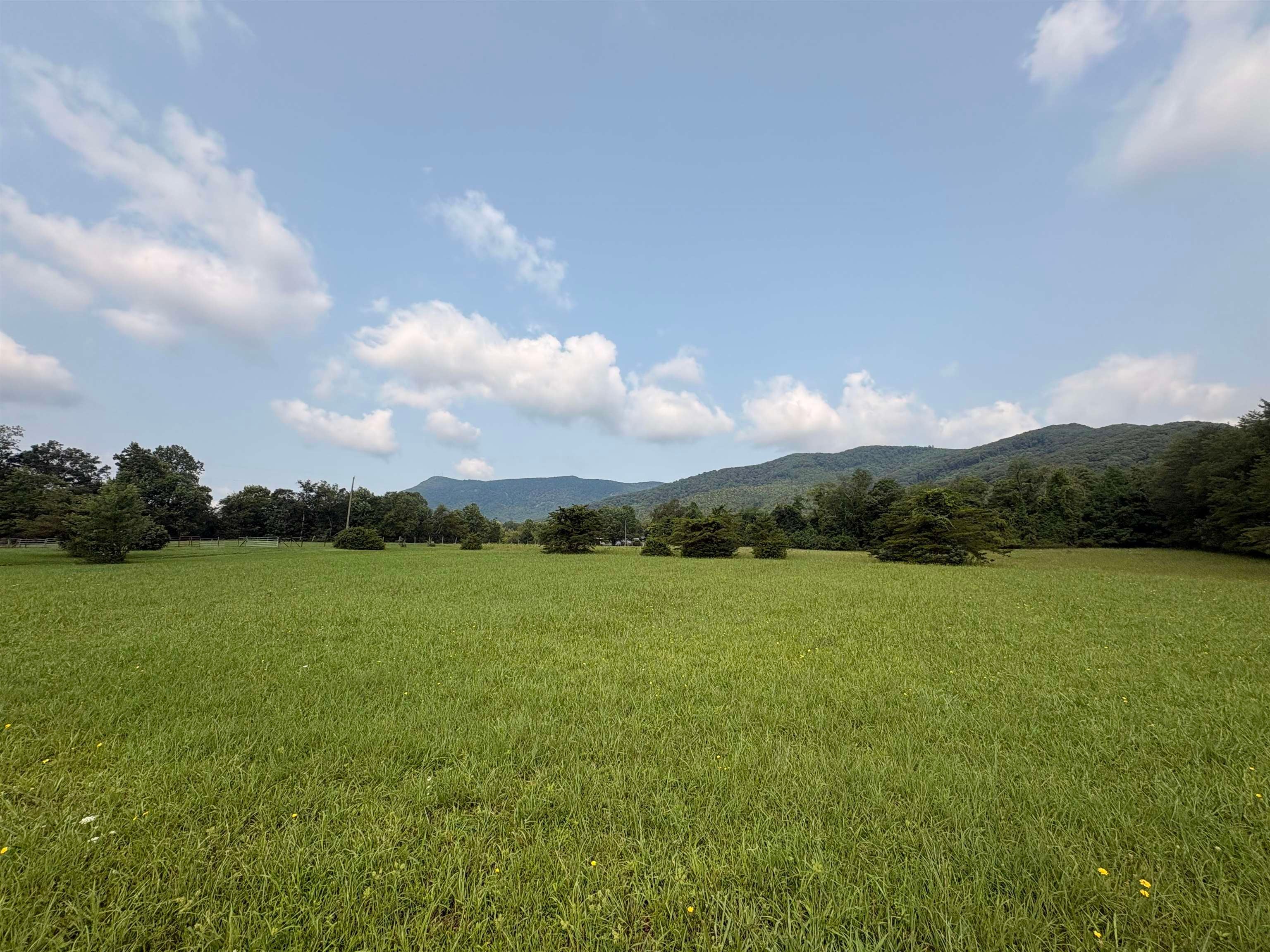 263 Holly Grove Road Lambsburg, VA 24351 - Photo 3 of 27 Gallery Image 3