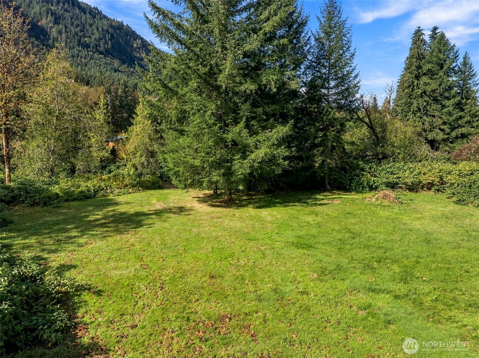 132 Findley Road Morton, WA 98356 - Photo 19 of 24 Gallery Image 19