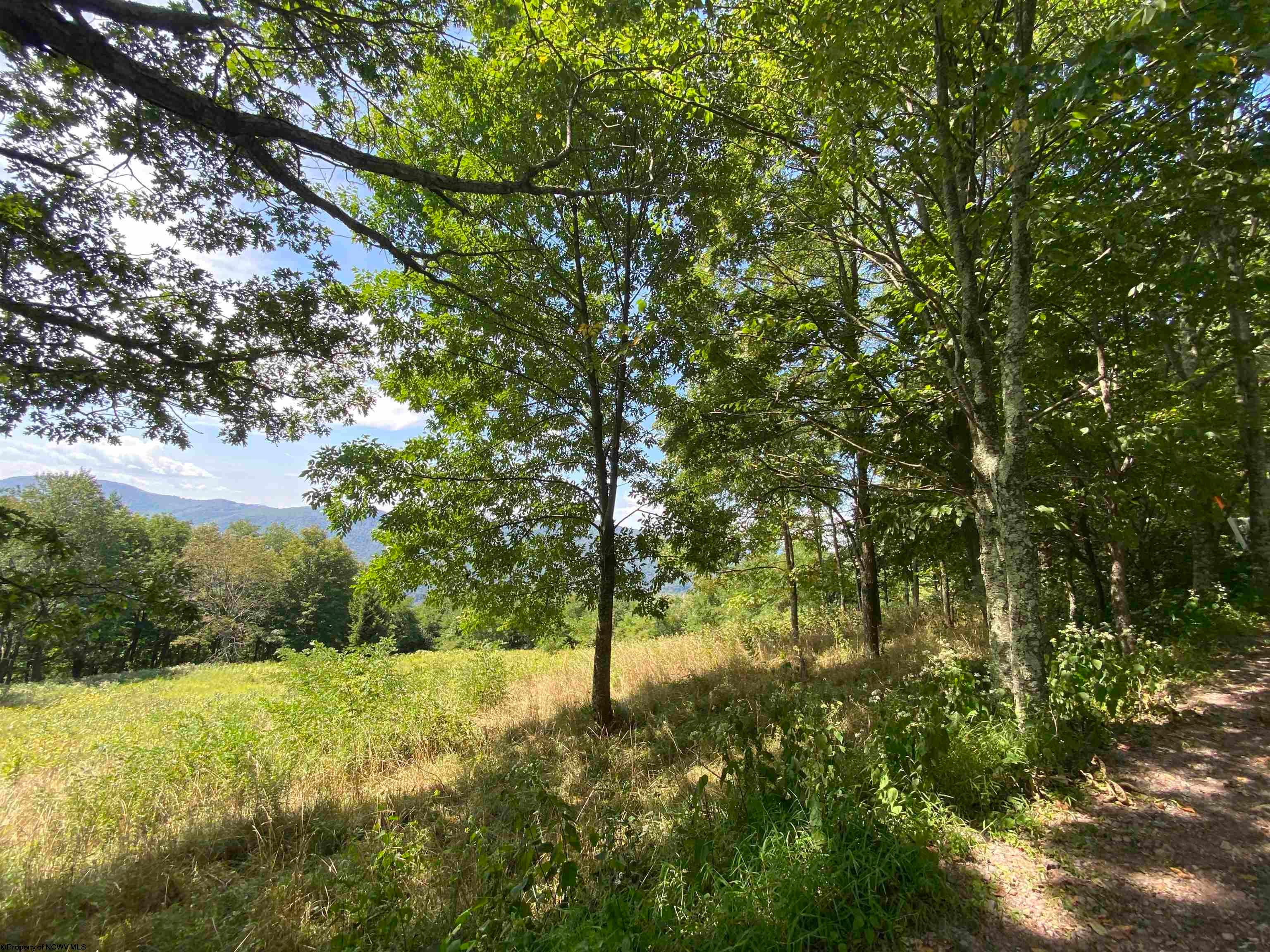 38 Meadows Road West Harman, WV 26270 - Photo 13 of 31 Gallery Image 13