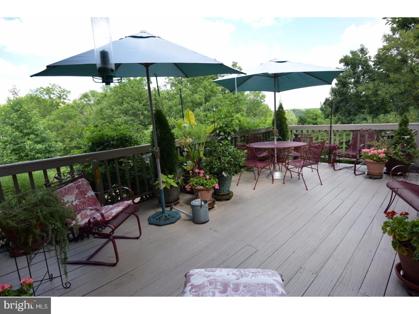 4265 Toll Gate Road New Hope, PA 18938 - Photo 14 of 25 Deck
