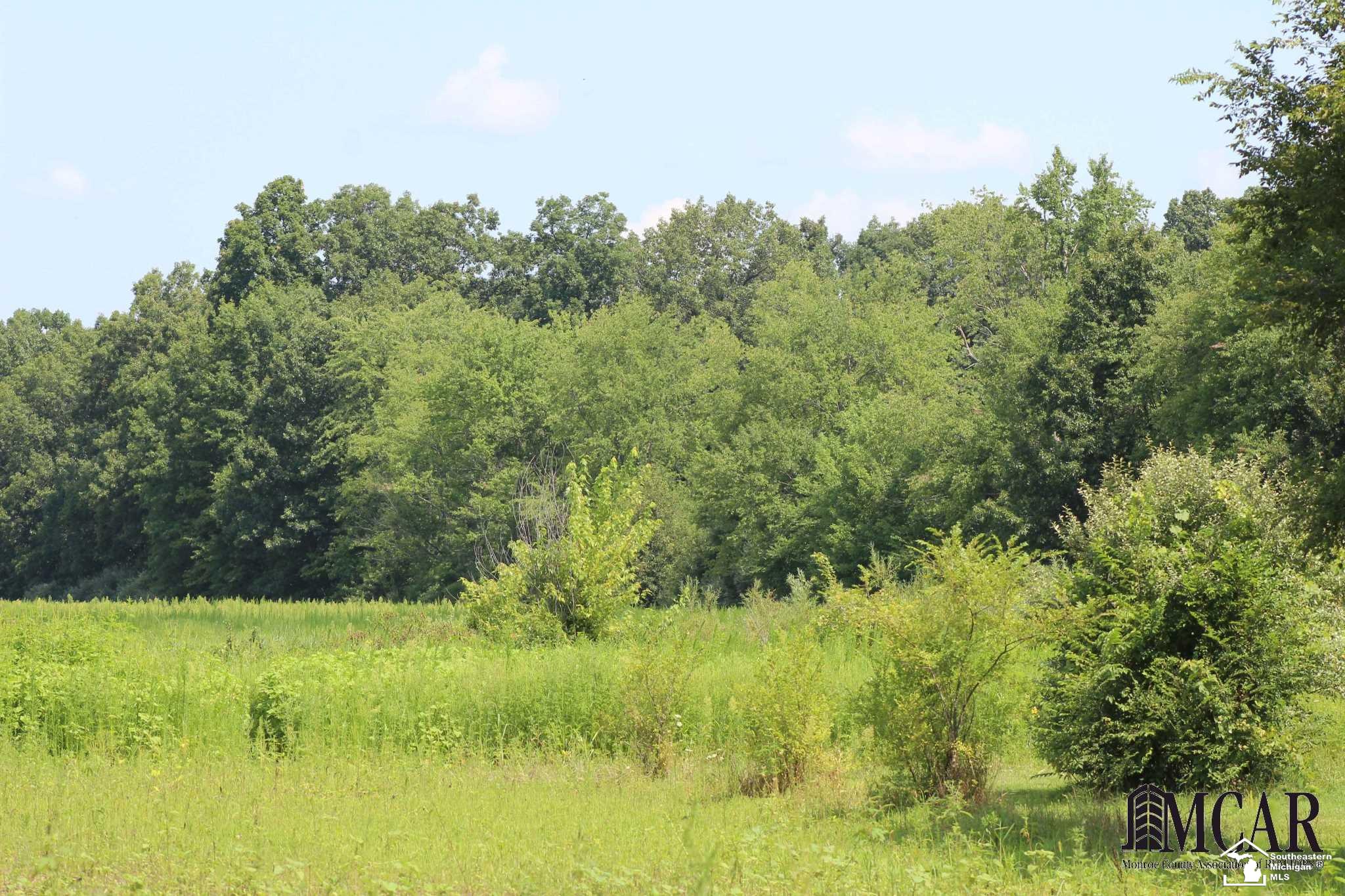 Lulu Road, Unit PARCEL 3 Petersburg, MI 49270 - Photo 5 of 8
