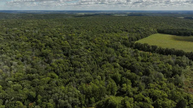 $324,000 | 58.41-ac Happy Hill Road, North Freedom, WI 53951