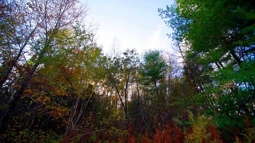 Lot 46 Benn Hill Road Houlton, ME 04730 - Photo 23 of 32 land-linneus-corner-lot