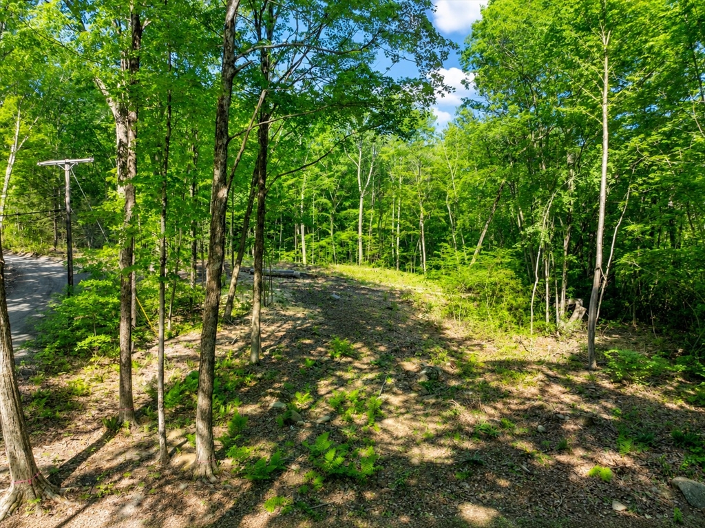 12 Carey Road Sturbridge, MA 01566 - Photo 9 of 14