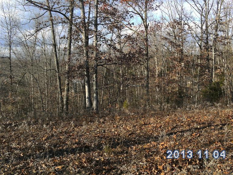 341 Crows Rdg Lane, Unit 25 Berry, KY 41003 - Photo 5 of 6 Photo 5