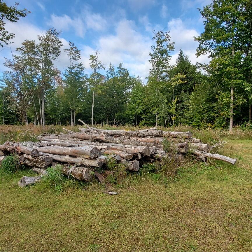 158 Kincaid Road Madison, ME 04950 - Photo 62 of 62 seasoned tree length firewood