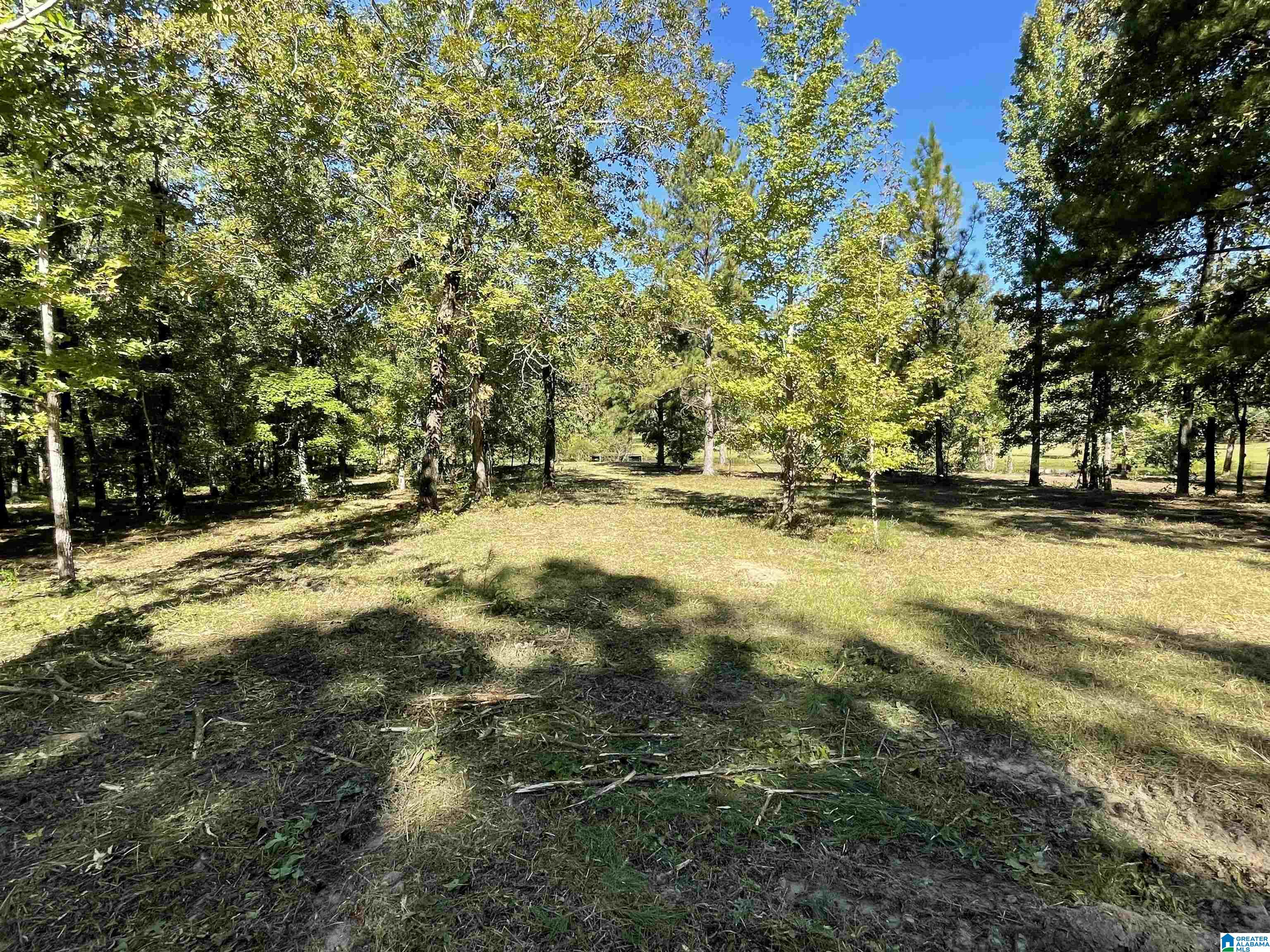 0 Paradise Point Drive Columbiana, AL 35051 - Photo 10 of 23