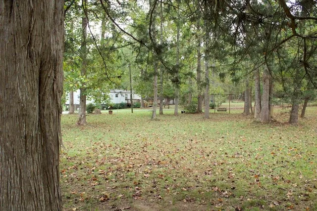 a view of a yard with a tree