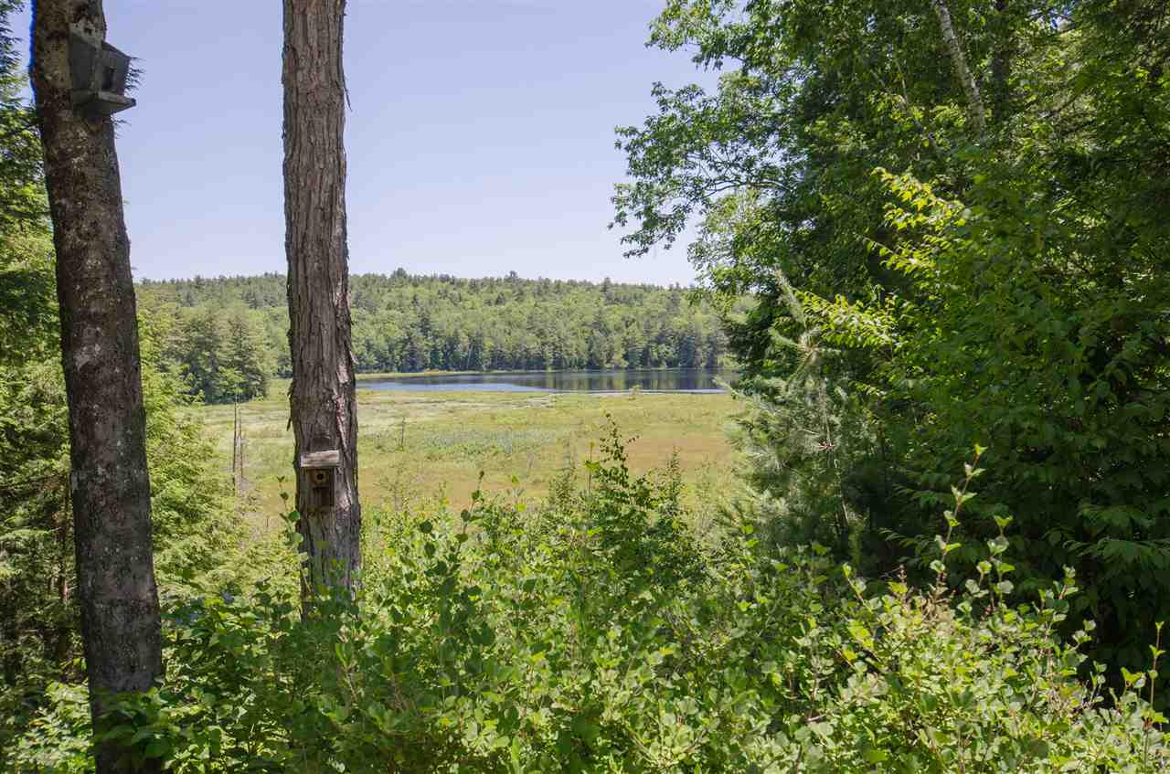 104 Forest Pond Road New Hampton, NH 03256 - Photo 2 of 34