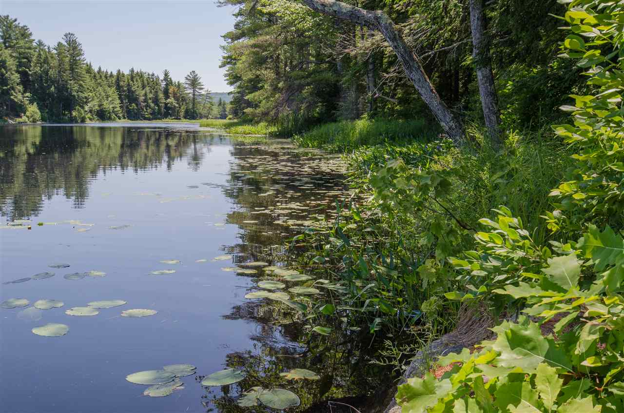 104 Forest Pond Road New Hampton, NH 03256 - Photo 33 of 34