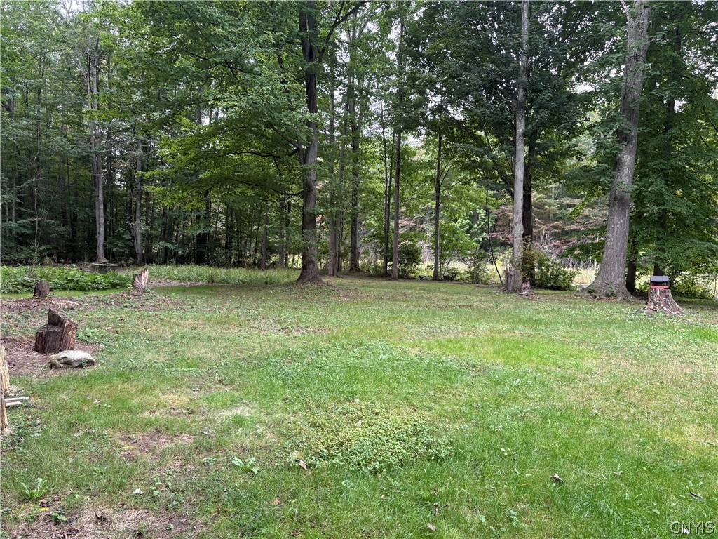 533 County Rte 29 Scriba, NY 13126 - Photo 34 of 39 Gallery Image 34