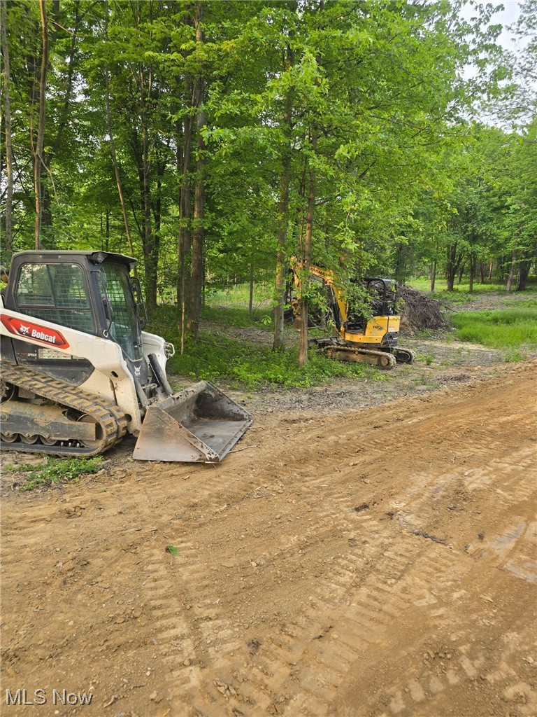 Austinburg Road Ashtabula, OH 44004 - Photo 2 of 7 View of yard