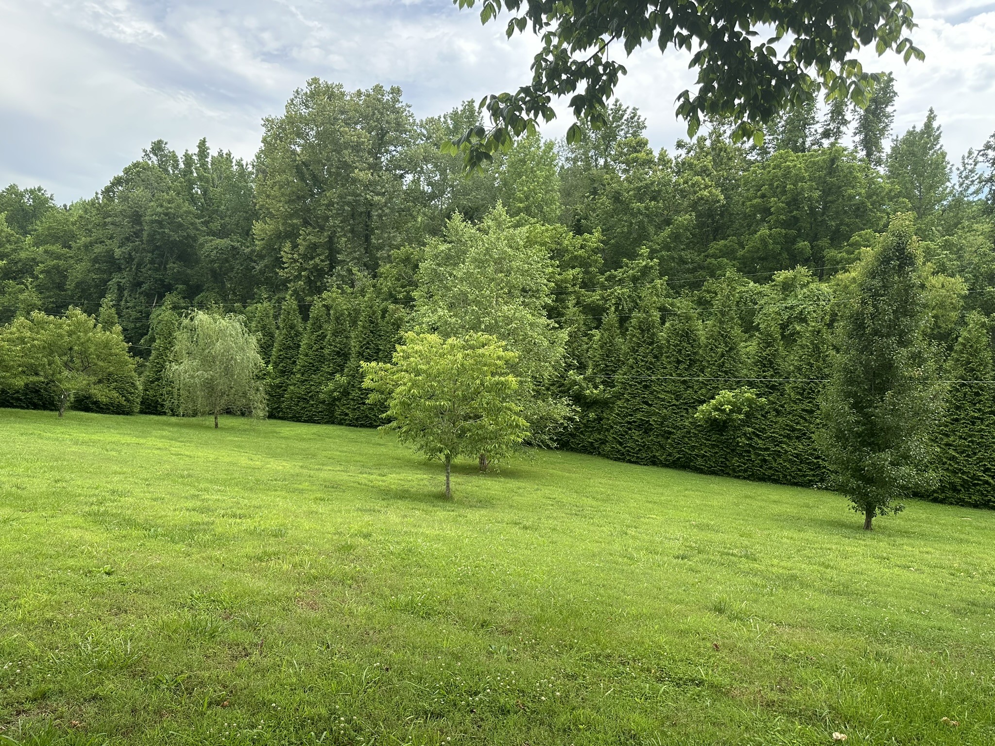 211 Church Hill Road Westpoint, TN 38486 - Photo 24 of 28