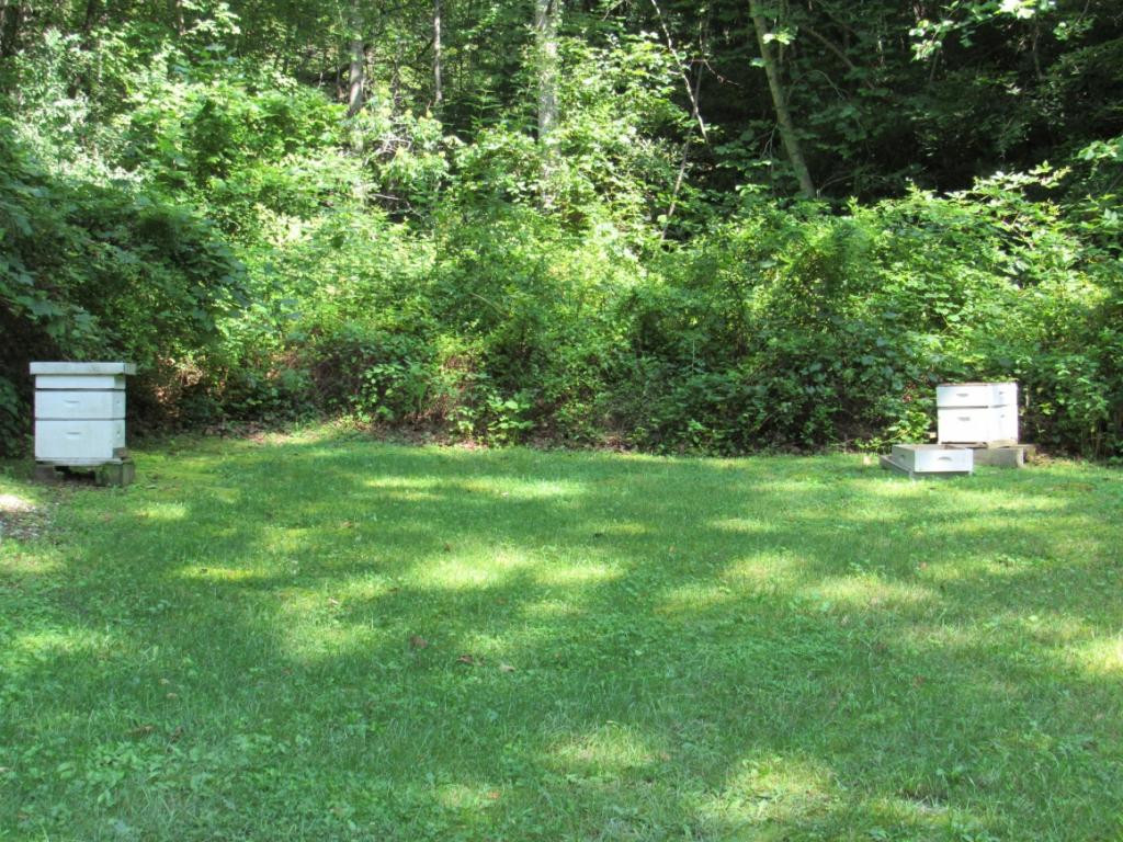 5281 Stonega Road Appalachia, VA 24216 - Photo 8 of 25 Photo 8
